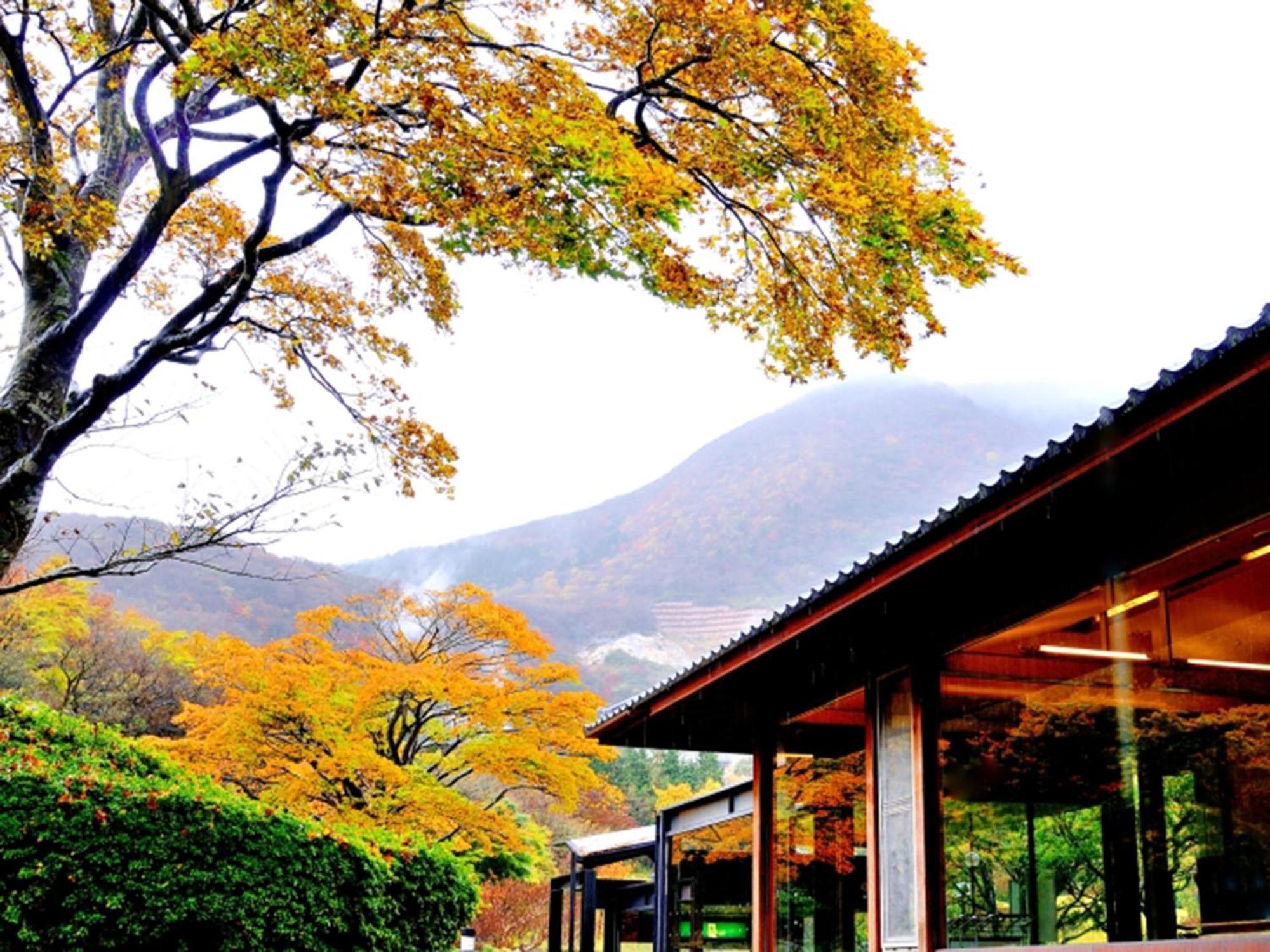 Hakone Yunohana Prince Hotel Kanagawa Екстер'єр фото