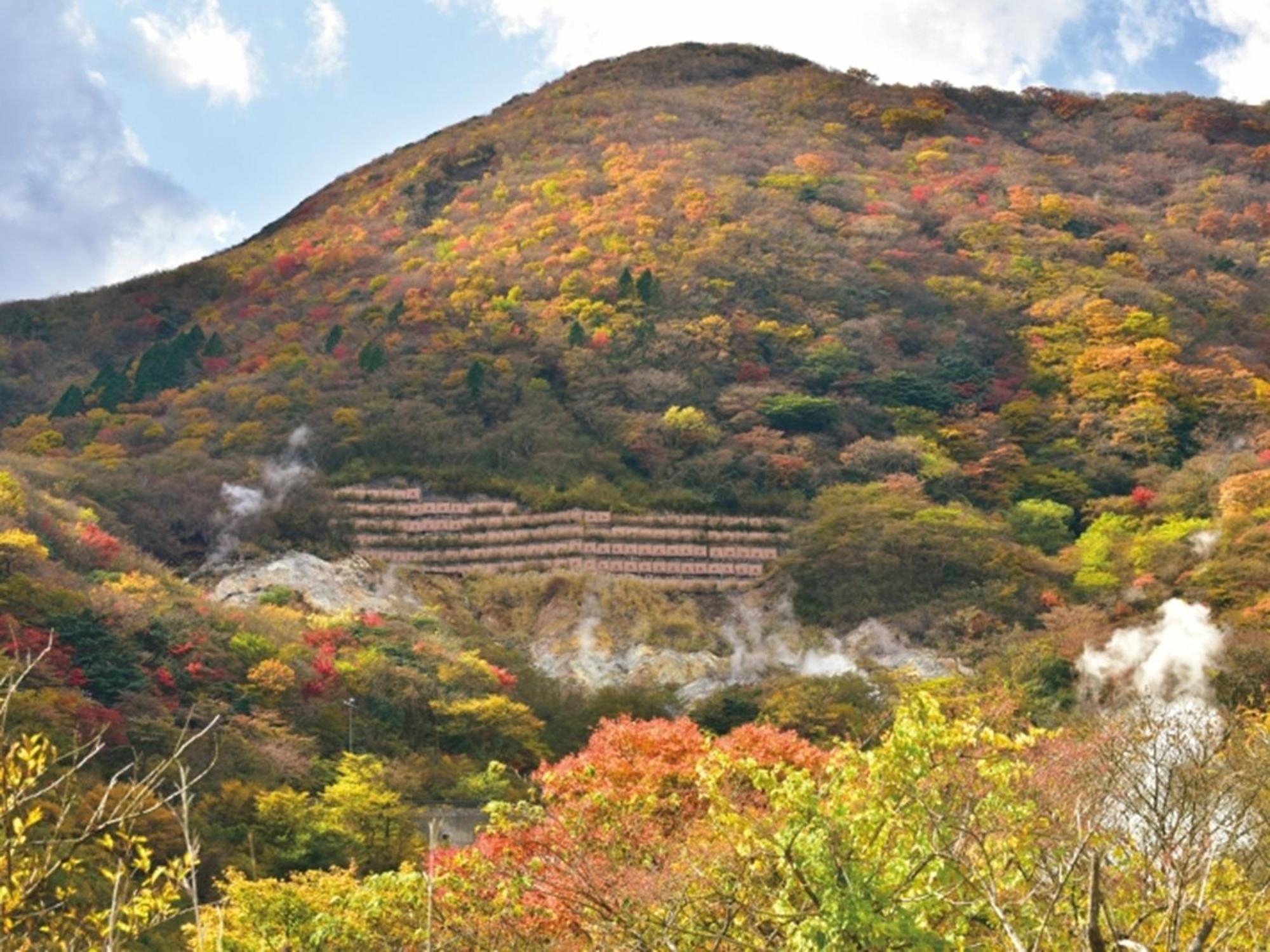 Hakone Yunohana Prince Hotel Kanagawa Екстер'єр фото