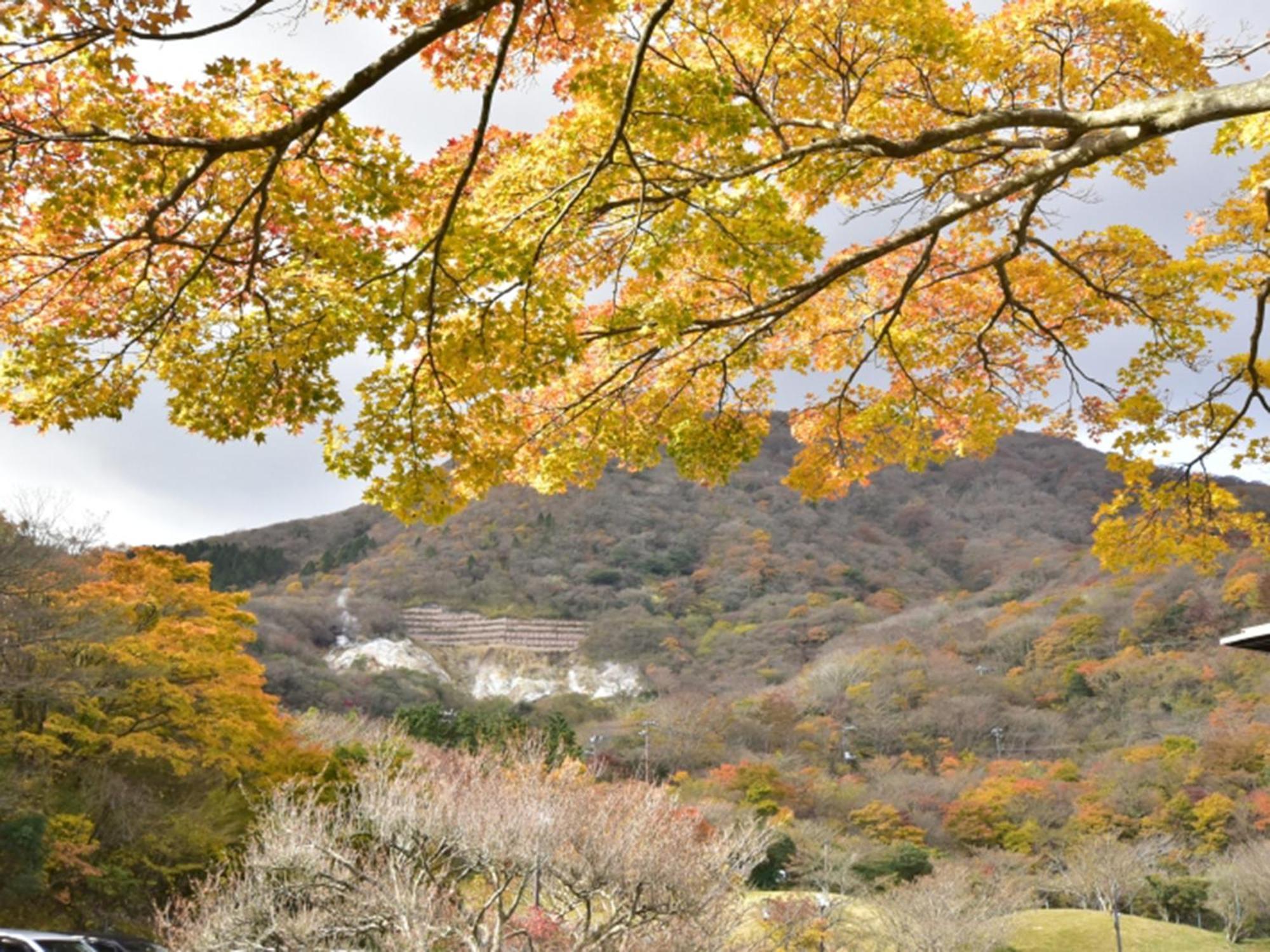 Hakone Yunohana Prince Hotel Kanagawa Екстер'єр фото