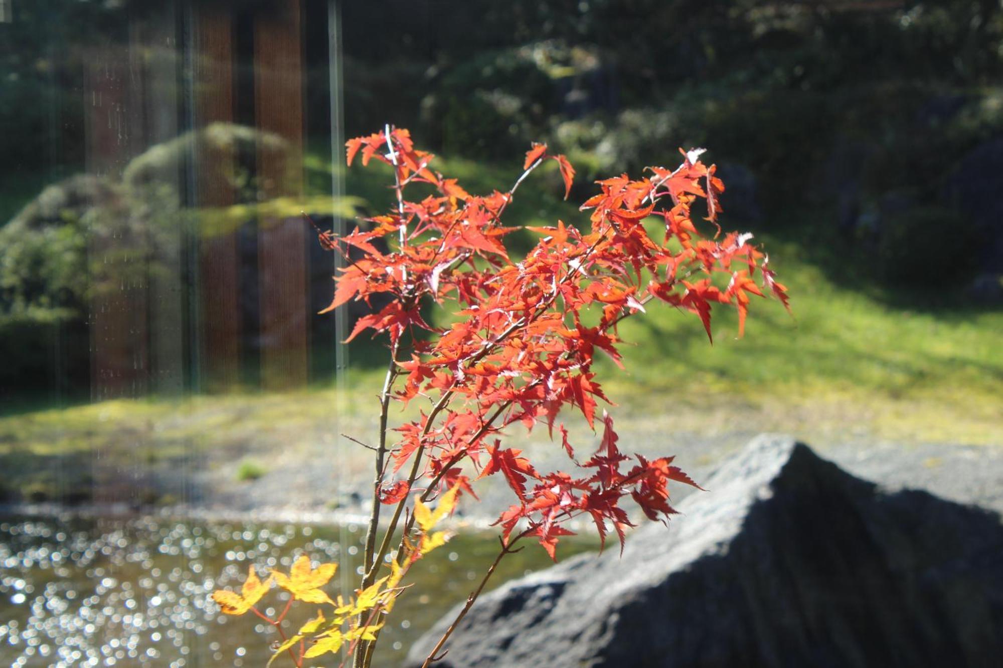 Hakone Yunohana Prince Hotel Kanagawa Екстер'єр фото