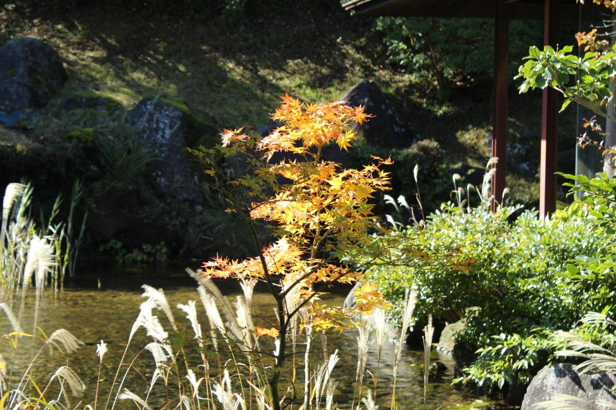 Hakone Yunohana Prince Hotel Kanagawa Екстер'єр фото